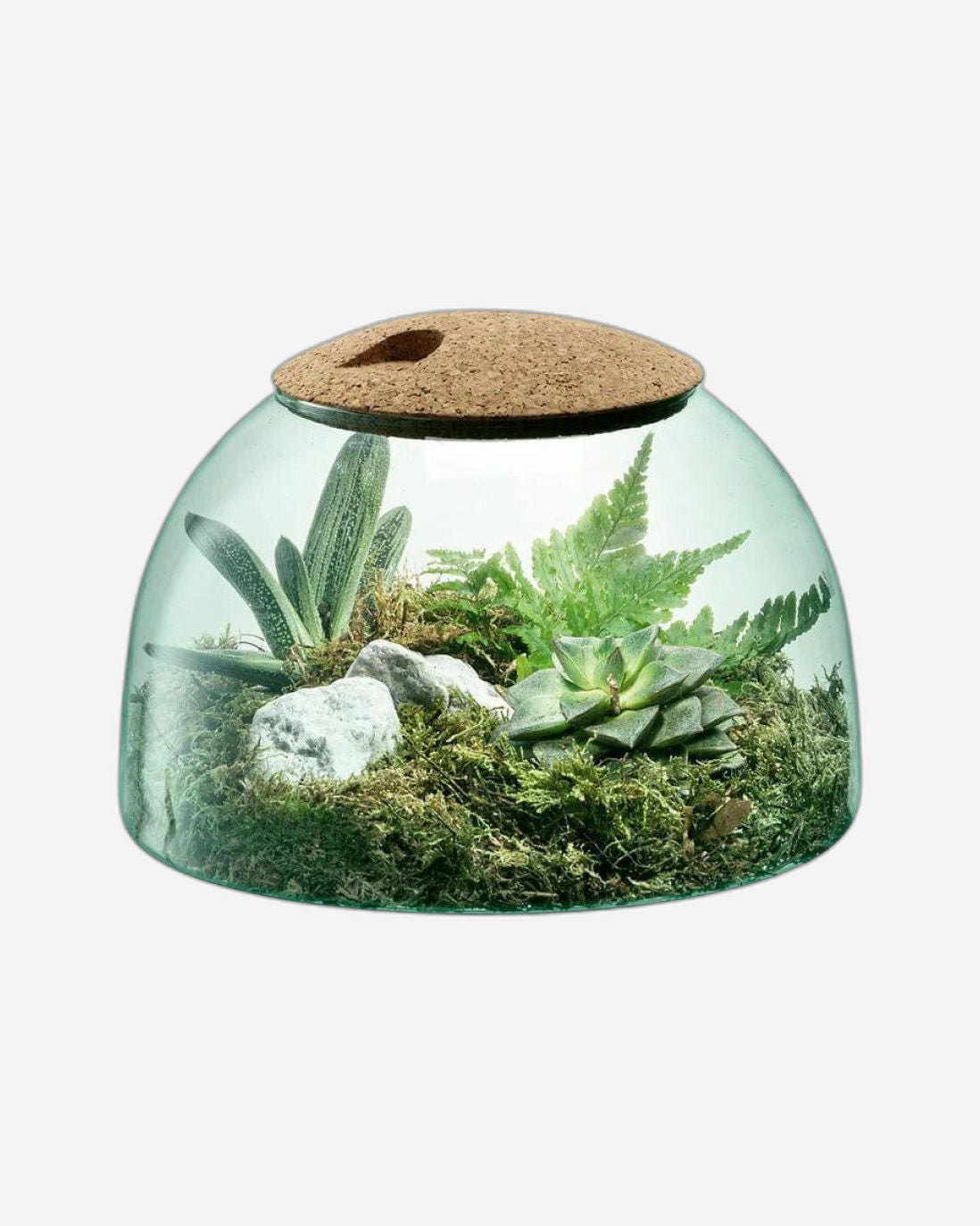 Lsa Canopy Closed Garden Clear/Cork