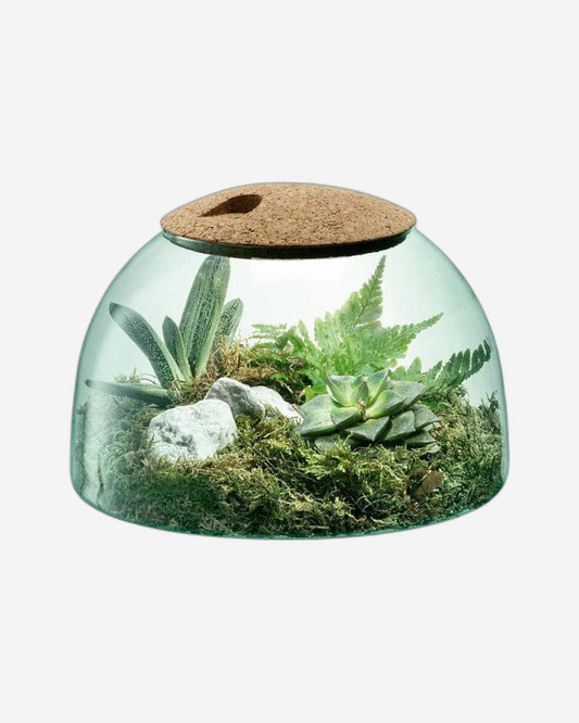 Lsa Canopy Closed Garden Clear/Cork