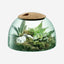 Lsa Canopy Closed Garden Clear/Cork