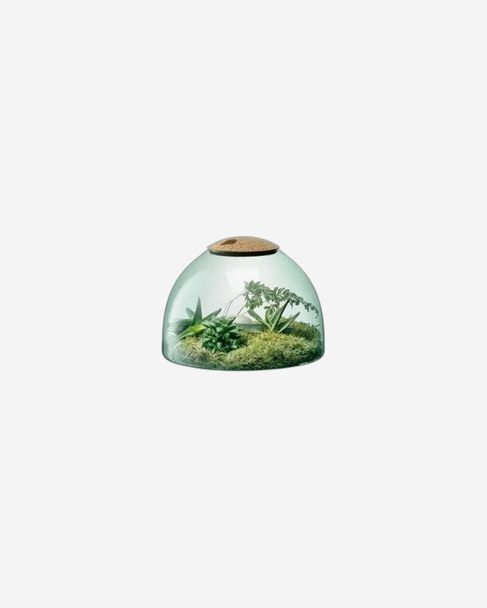 Lsa Canopy Closed Garden Clear/Cork