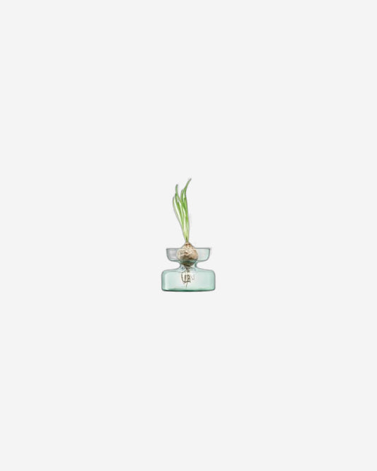Lsa Canopy Vase/Bulb Planter  Clear