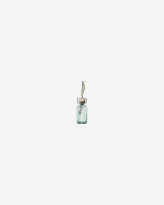 Lsa Canopy Vase/Bulb Planter Clear