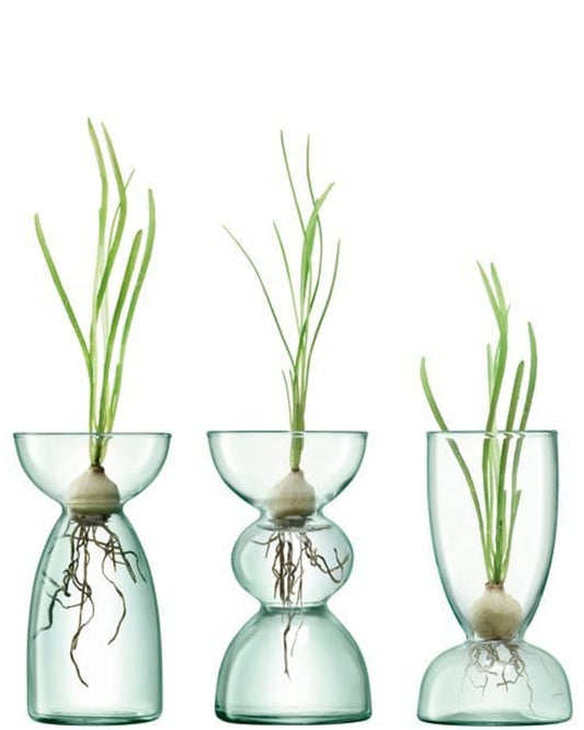 Lsa Canopy Trio Vase Set Clear