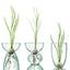 Lsa Canopy Trio Vase Set Clear