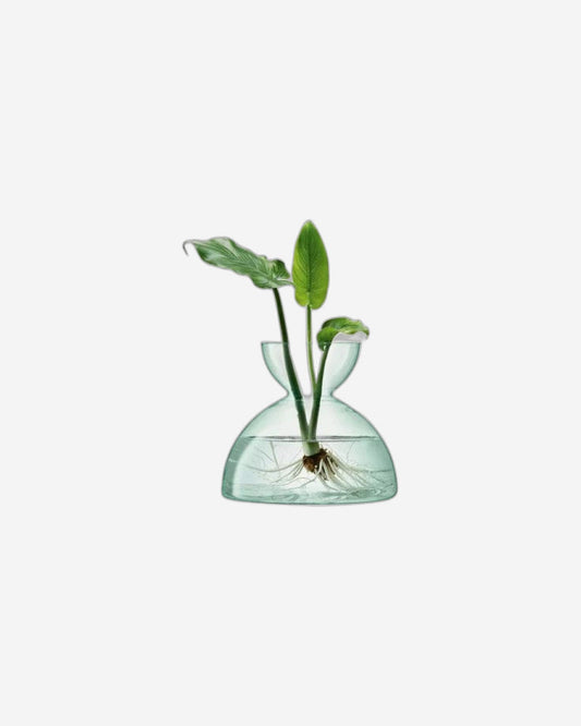 Lsa Canopy Vase Clear