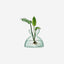 Lsa Canopy Vase Clear