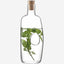 Void Carafe & Cork Stopper 1.1L