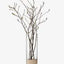 Lsa Lotta Vase/Lantern Clear& Ash Base