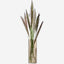 Wicker Vase H20cm