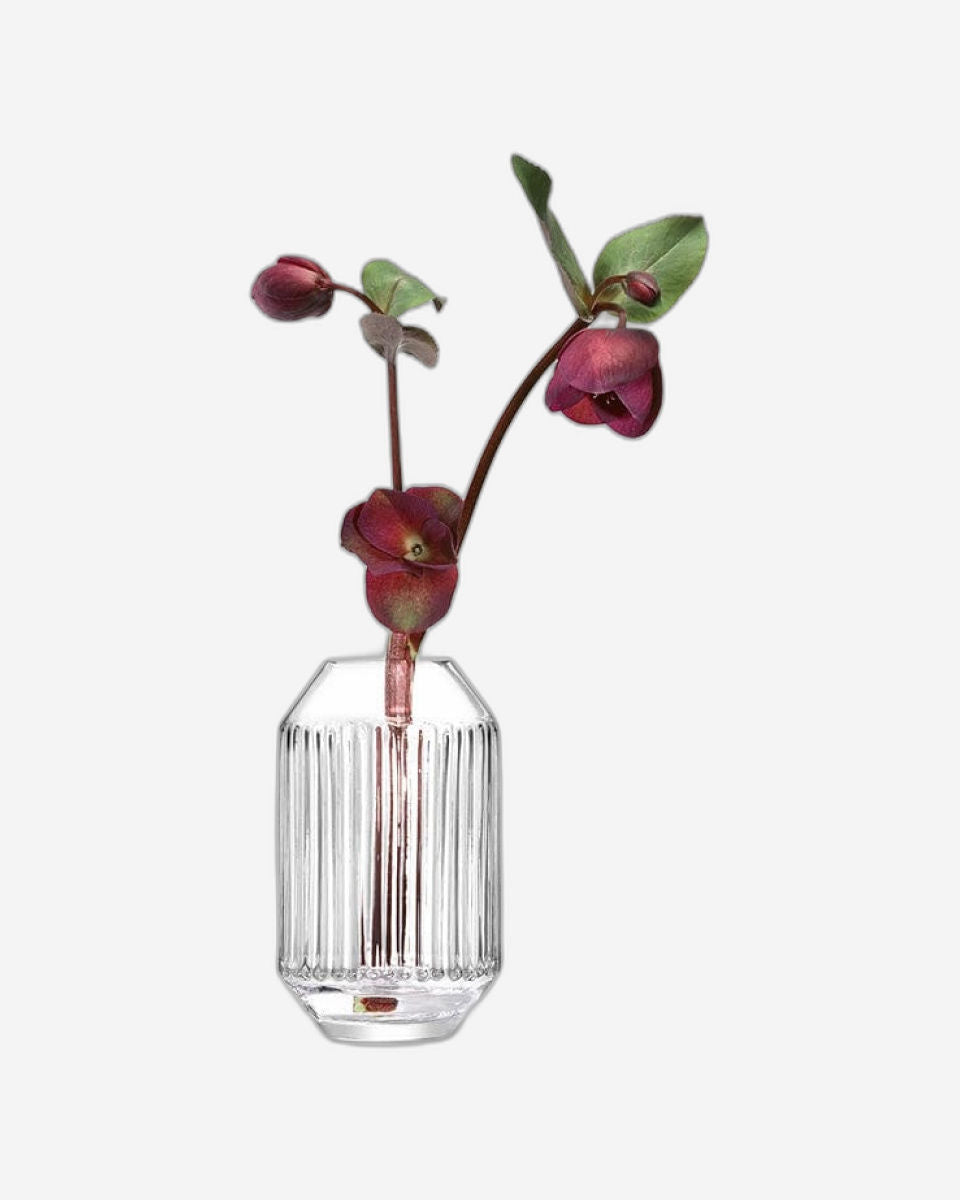 Rotunda Vase H15cm Clear