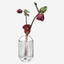 Rotunda Vase H15cm Clear