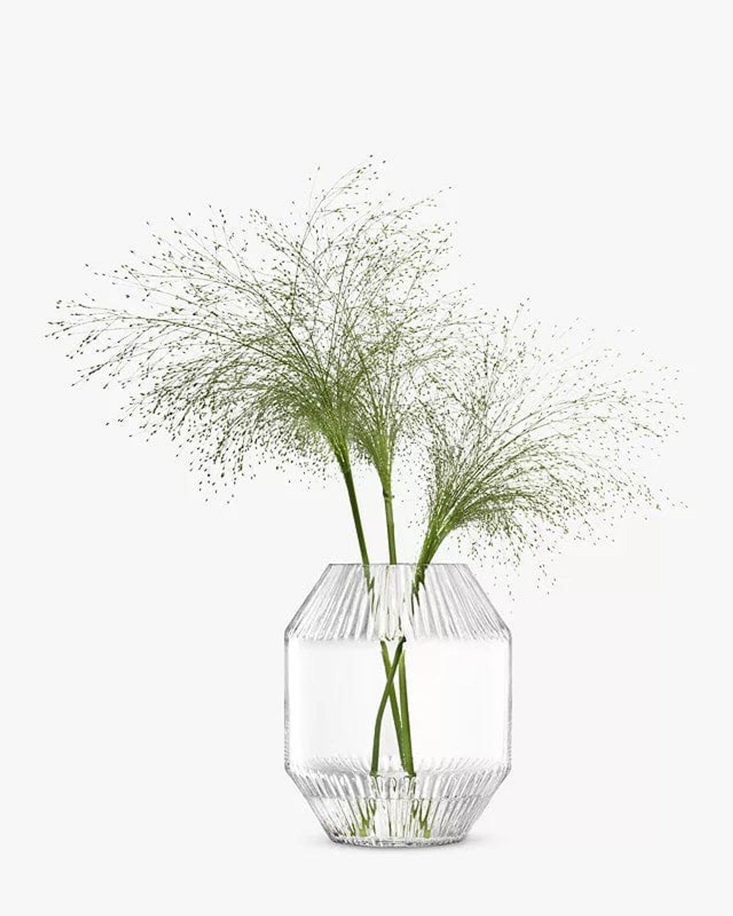 Rotunda Vase H20cm Clear