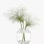 Rotunda Vase H20cm Clear