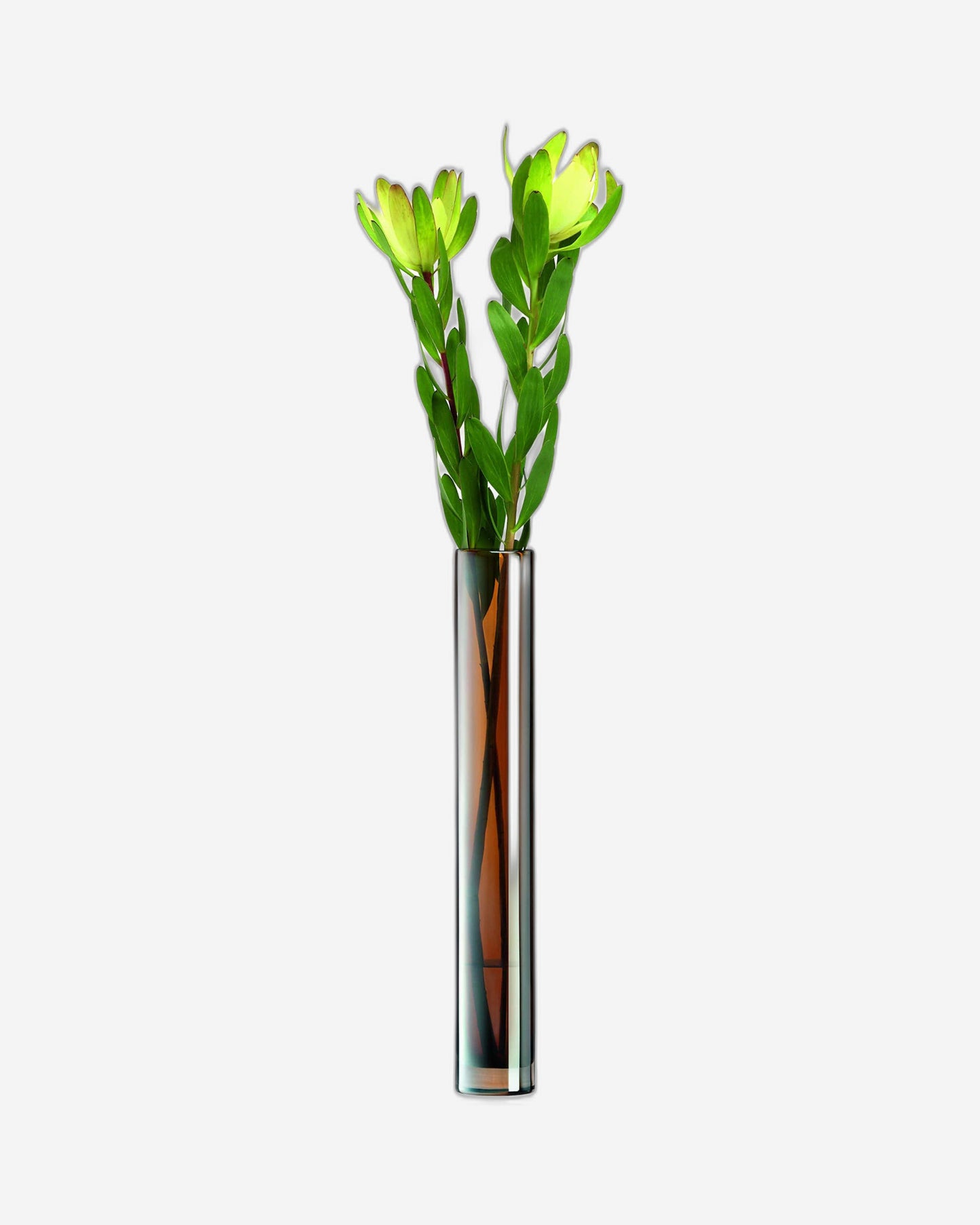 Lsa Epoque Vase  Amber/Lustre