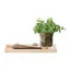 Plateau Planter Set L28cm Clear/Ash/Cork