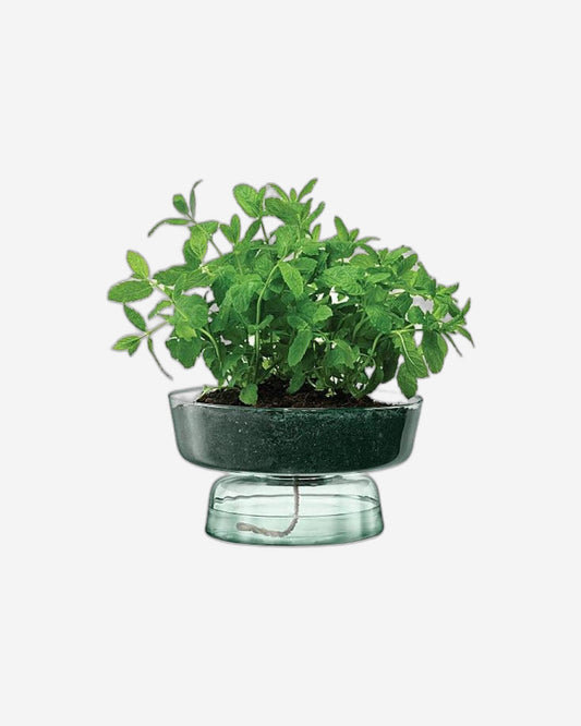 Lsa Canopy Self Watering Planter  Recycled/Part Optic