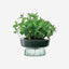 Lsa Canopy Self Watering Planter  Recycled/Part Optic
