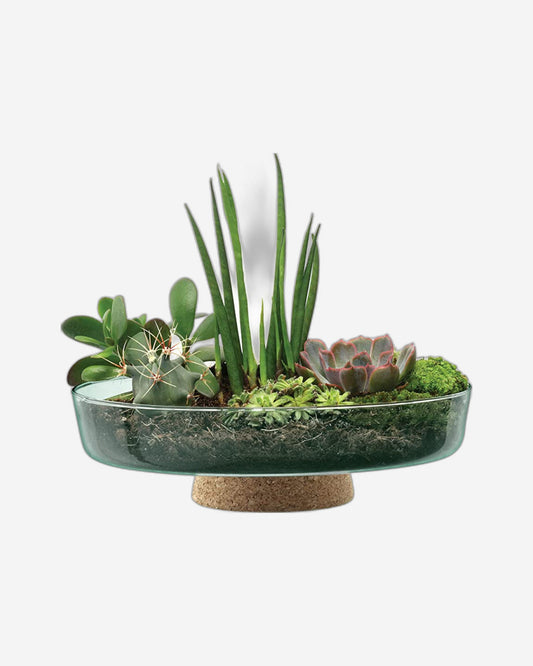 Lsa Canopy Planting Bowl Recycled/Cork