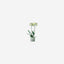 Lsa Canopy Planter Recycled