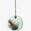 Lsa Canopy Hanging Planterrecycled