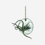 Lsa Canopy Hanging Planter Recycled
