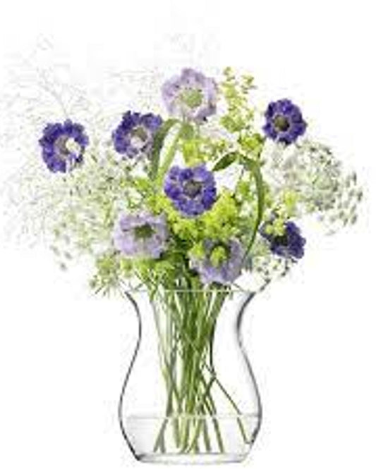 Lsa Flower Open Posy Vase Clear