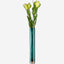 Lsa Epoque Vase  Peacock/Lustre