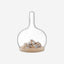 Lsa Cloche Dome & Oak Base  Clear