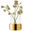 Lsa Aurum Lantern/Vase Clear/Gold