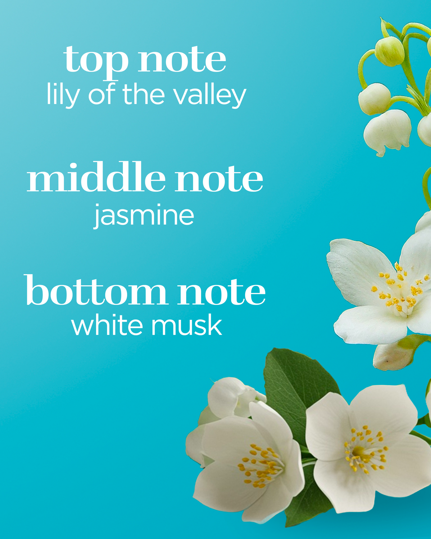 Body Fantasies Signature Fresh White Musk 236Ml
