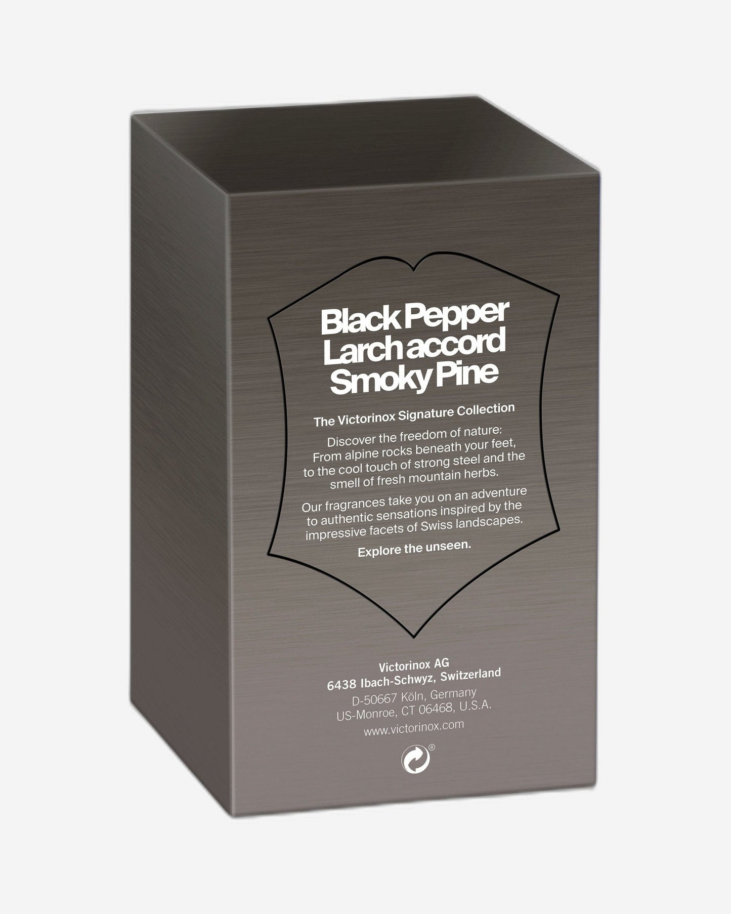 Victorinox Black Steel For Him EDT 100ml