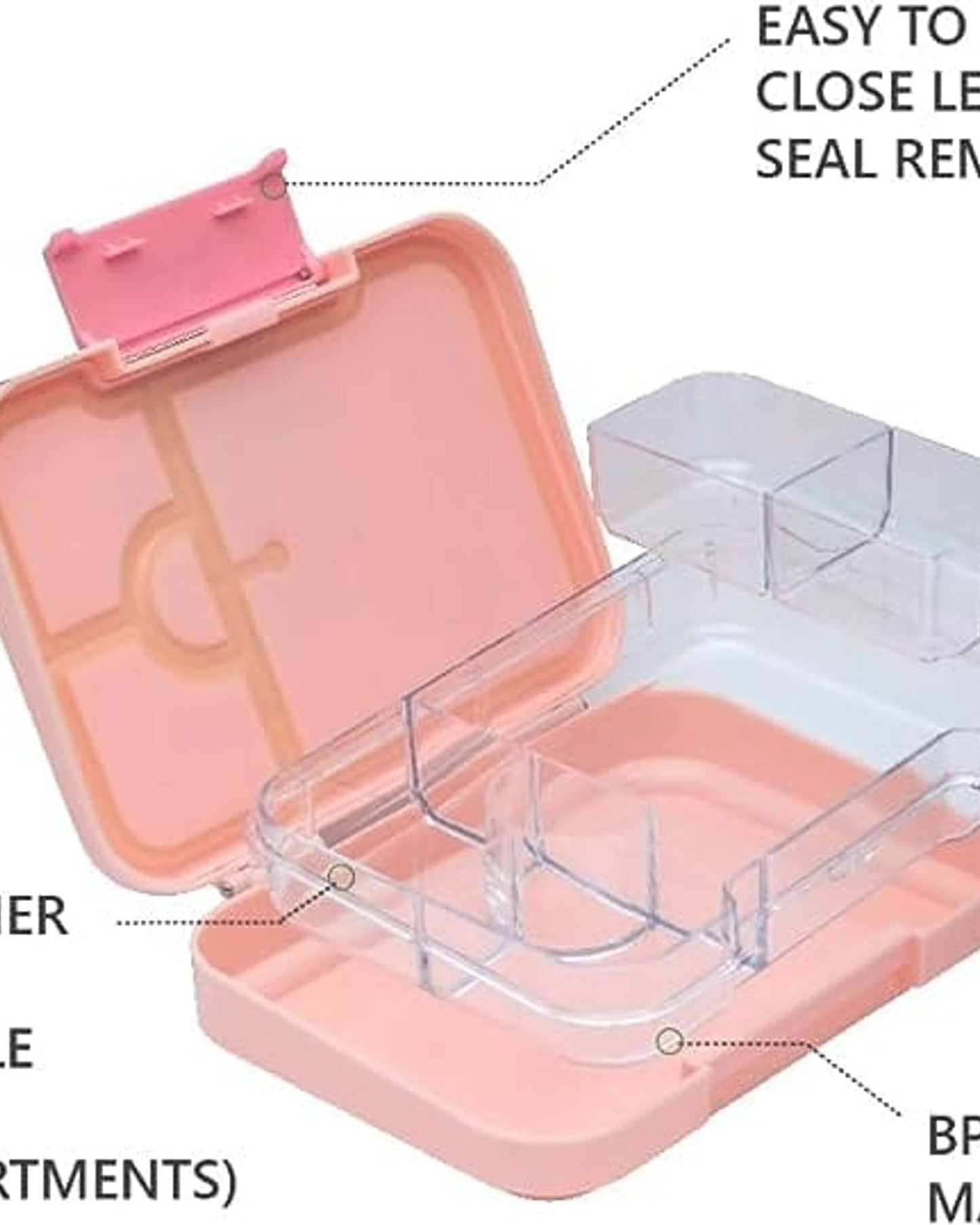 Butterfly Lunch Box