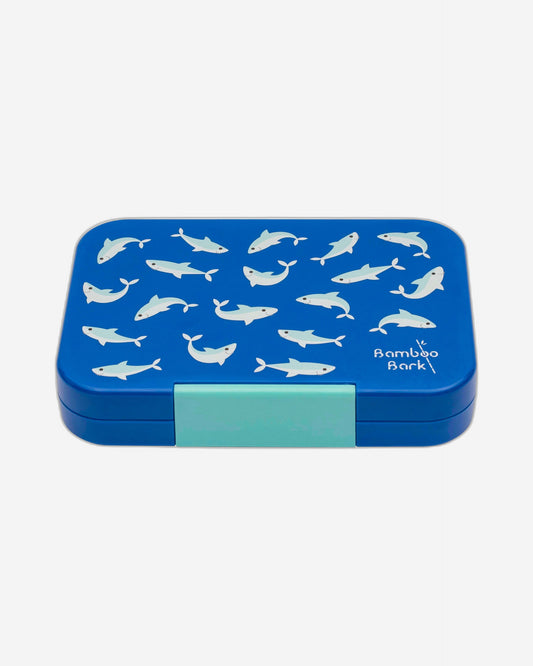 Sharks Lunch Box