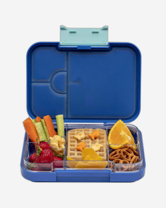 Sharks Lunch Box