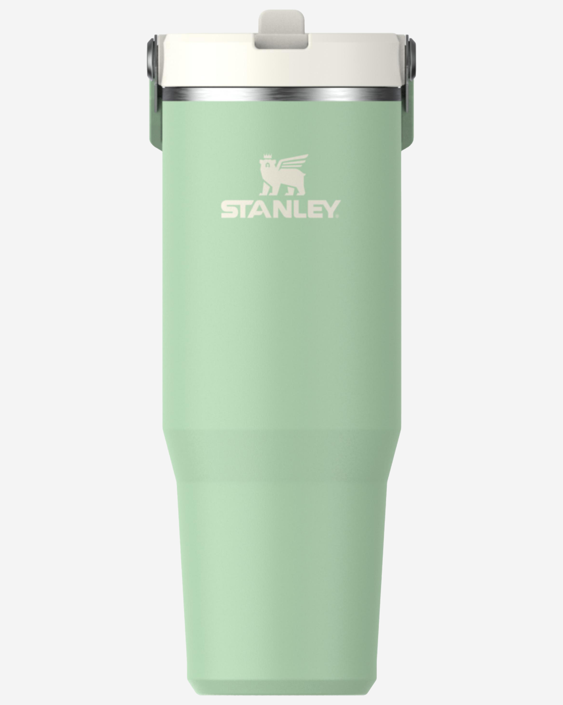 Stanley IceFlow GO 890ml/30oz Flip Straw Wtr Btl Pistachio