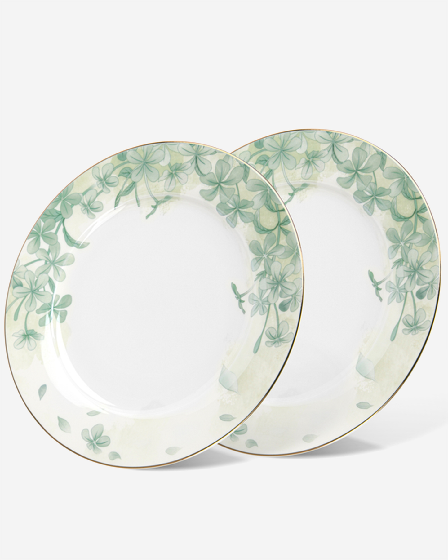 Fissman 2-Piece Plates Summer Glint 21cm (Fine Bone China)