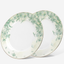 Fissman Fine Bone China Plates Summer Glint 21cm