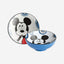 Egan Bowl Mickey F&E D 21