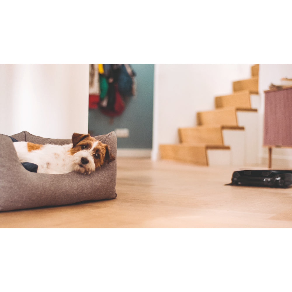 Miele Robot Vacuum Cleaner Scout RX3 OBSW with 3D Smart Navigation and Quattro Cleaning Power
