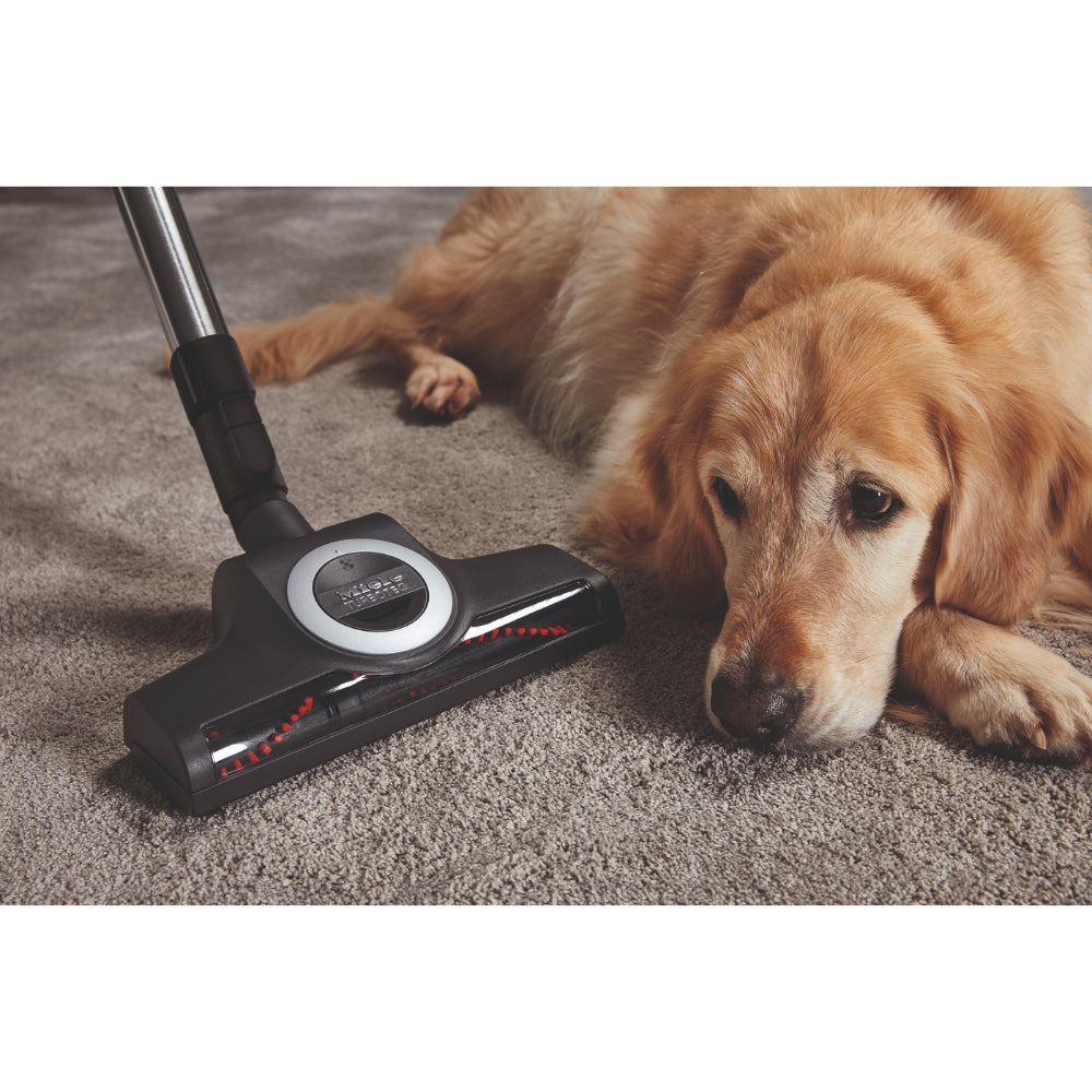 Miele Blizzard CX1 Cat&Dog Vacuum Cleaner