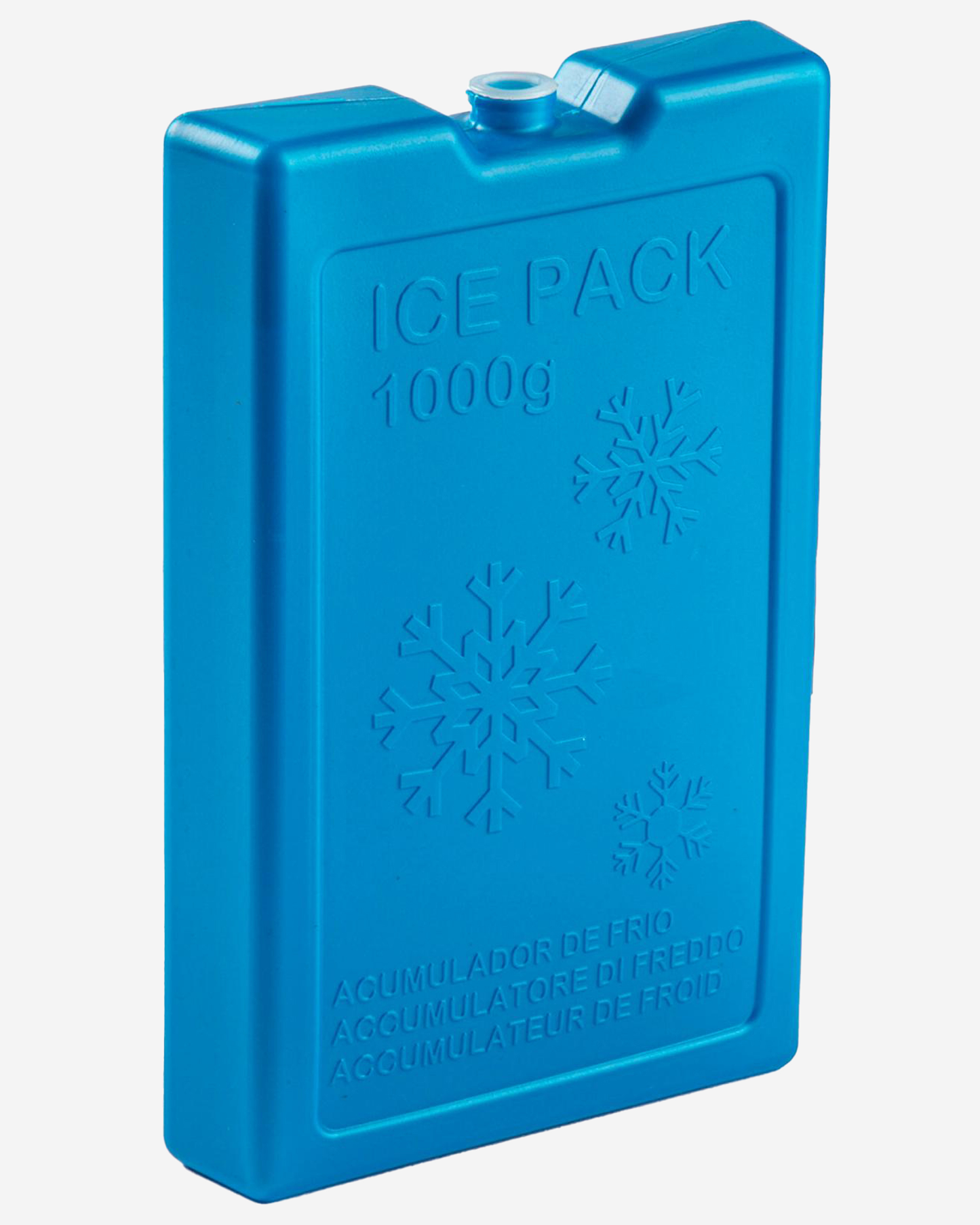 Plastic Forte Freezer Ice Pack 1000 g Blue