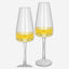 Fissman Champagne 2Pc 230ml