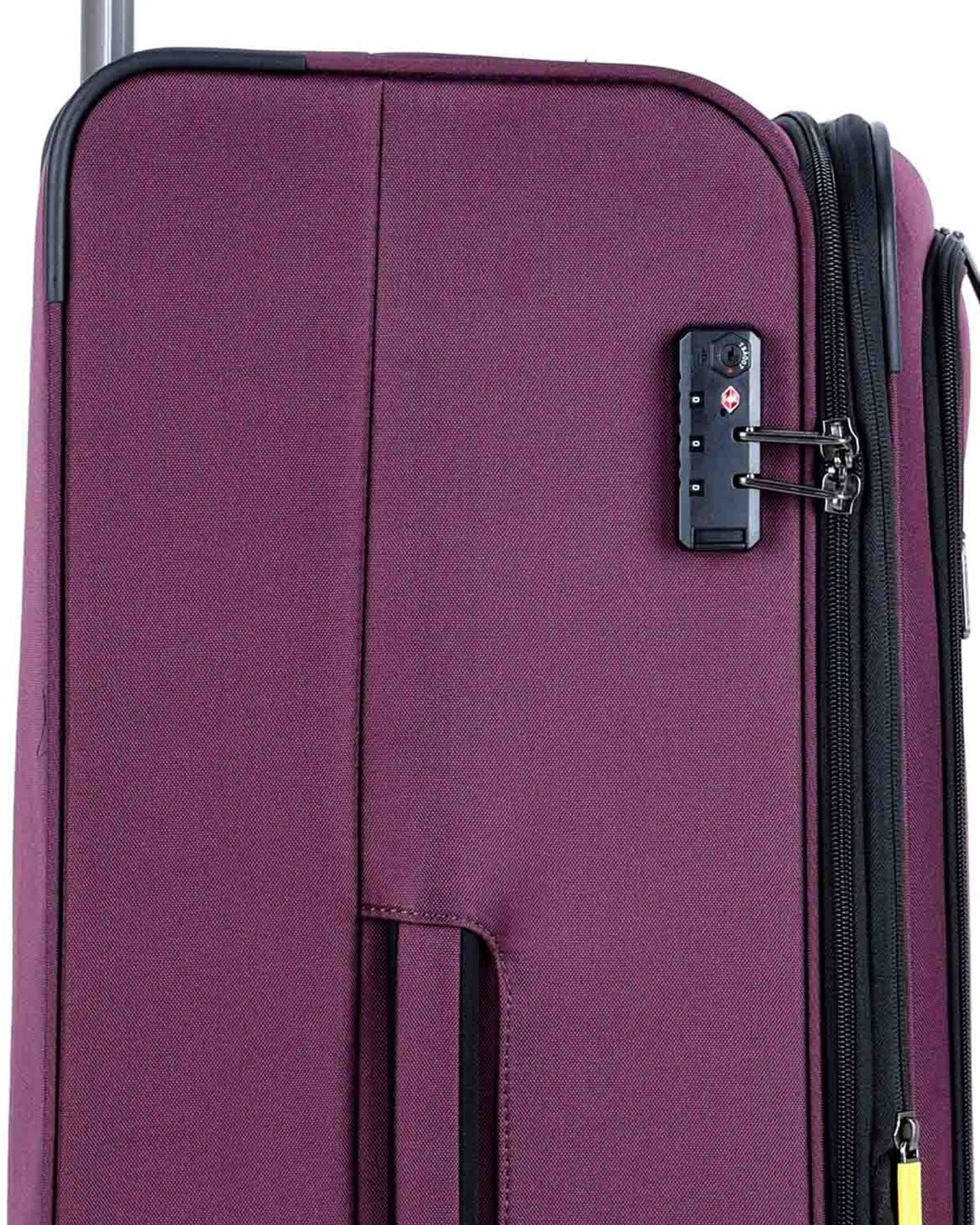 Delsey Paris Priscilla Luggage