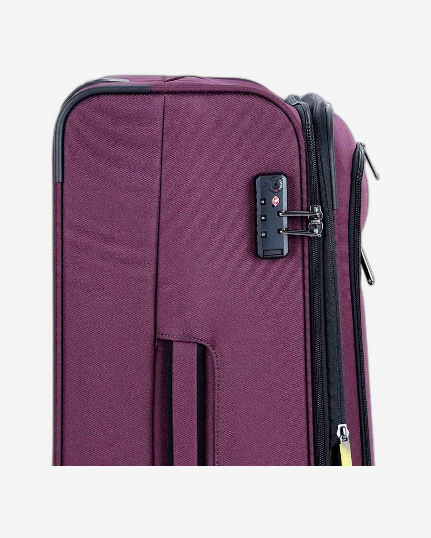 Delsey Paris Priscilla Luggage