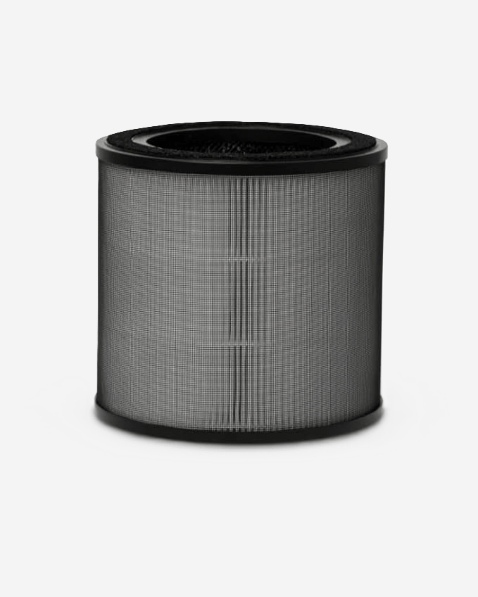 Electrolux Pleated H13 Filter with Carbon (200 CADR)