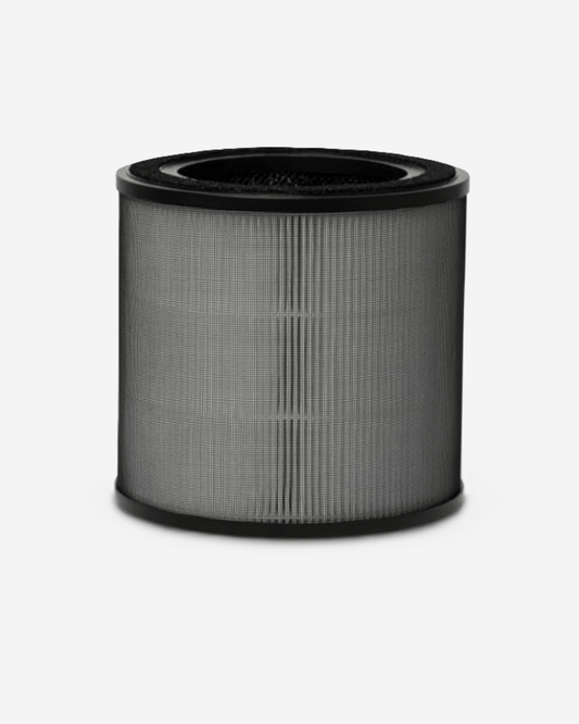 Electrolux Pleated H13 Filter with Carbon (200 CADR)