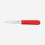 Tramontina Paring Knife 3Inch