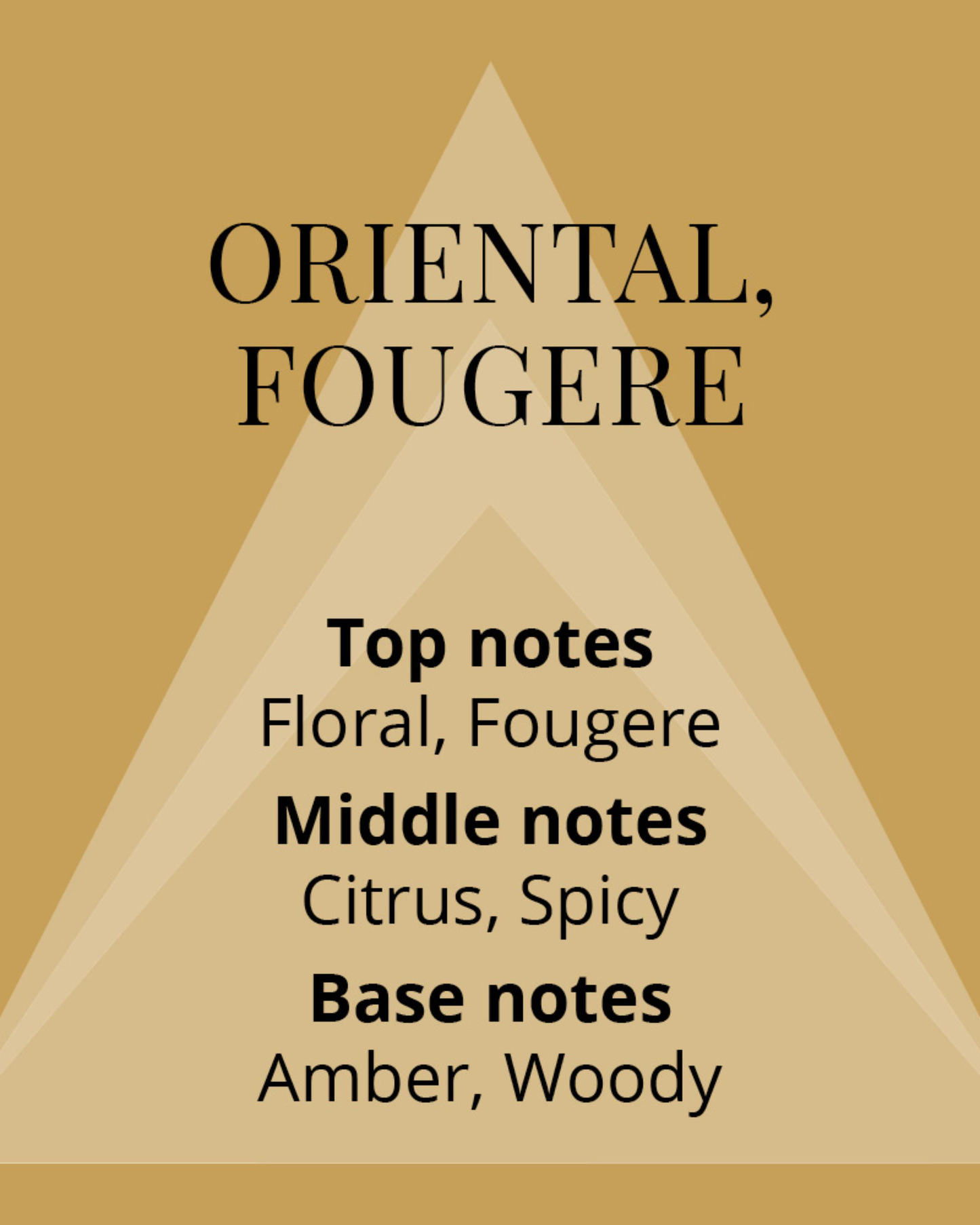 Colour Me Homme Gold EDP 90ml