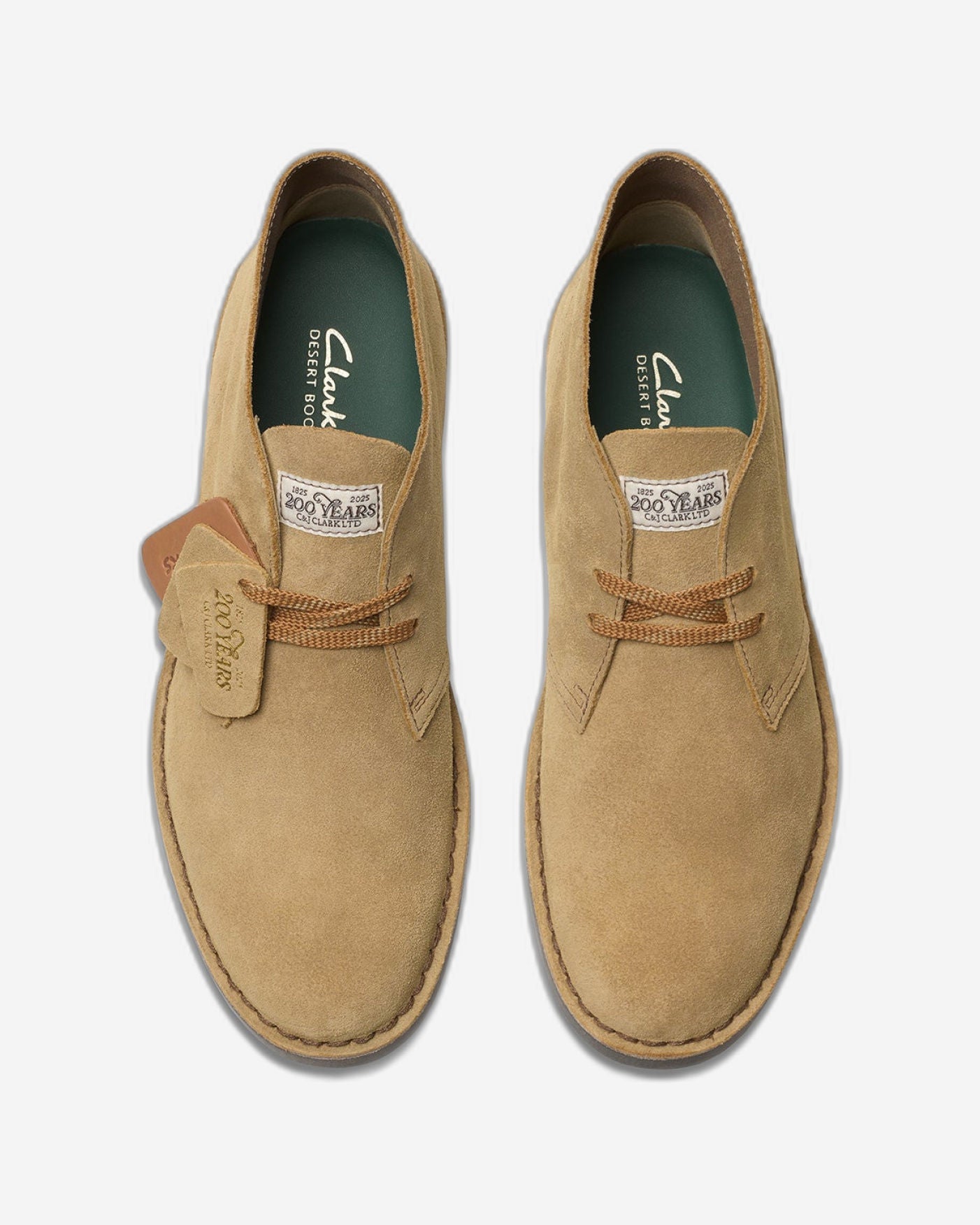 Clarks Desert Boot Evo (Standard Fit)