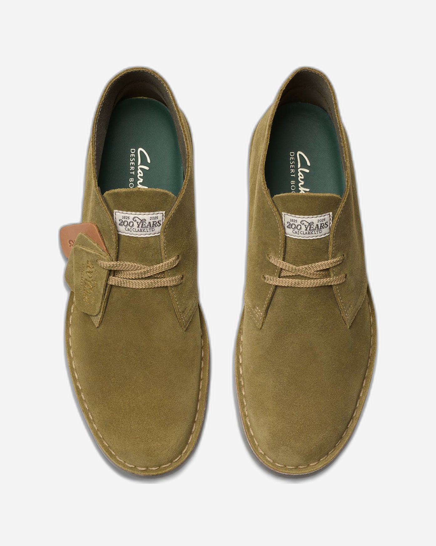 Clarks Desert Boot Evo (Standard Fit)